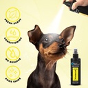 Groom Professional Wondercoat Pet Detangler[Volume - 200 ml, Flavor - Fresh scent]