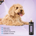 Groom Professional Luxury Iris & Amber Pet Cologne[Volume - 200 ml, Flavor - Iris & Amber]