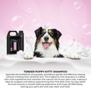 Groom Professional Tender Puppy Kitty Shampoo [Volume - 4 litre]