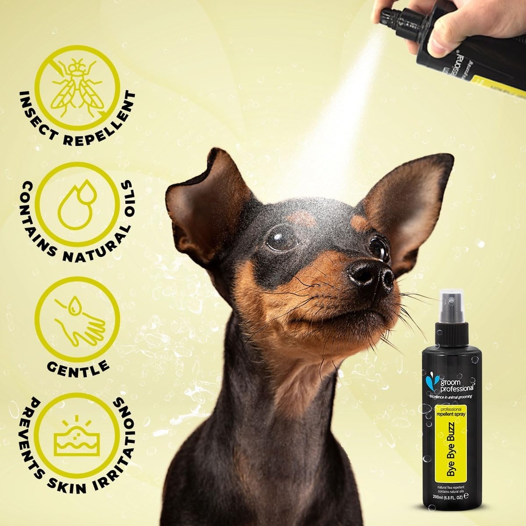 Groom Professional Bye Bye Buzz Spray 200ml[Volume - 200ml]