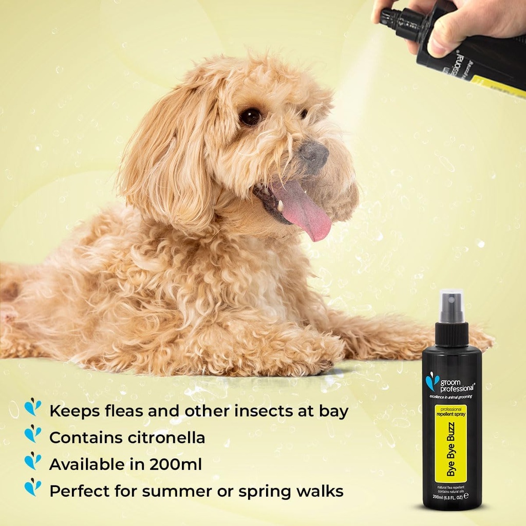 Groom Professional Bye Bye Buzz Spray 200ml[Volume - 200ml]
