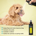 Groom Professional Bye Bye Buzz Spray 200ml[Volume - 200ml]