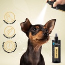 Groom Professional Vanilla Cupcakes Cologne 200ml[Volume - 200ml]