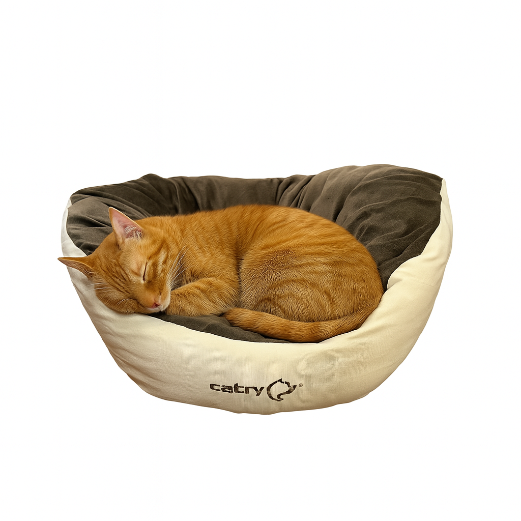 Catry Pet Cushion 60x45x20cm