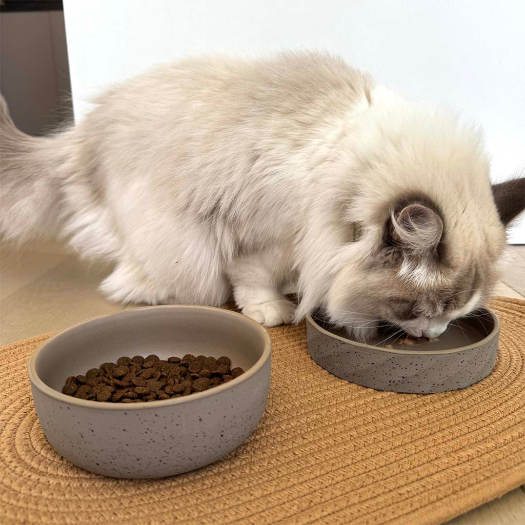 Duvo Feeding Bowl-Stone-Smooth dune Small - 470ml - 14x14x5cm [Grey-green]