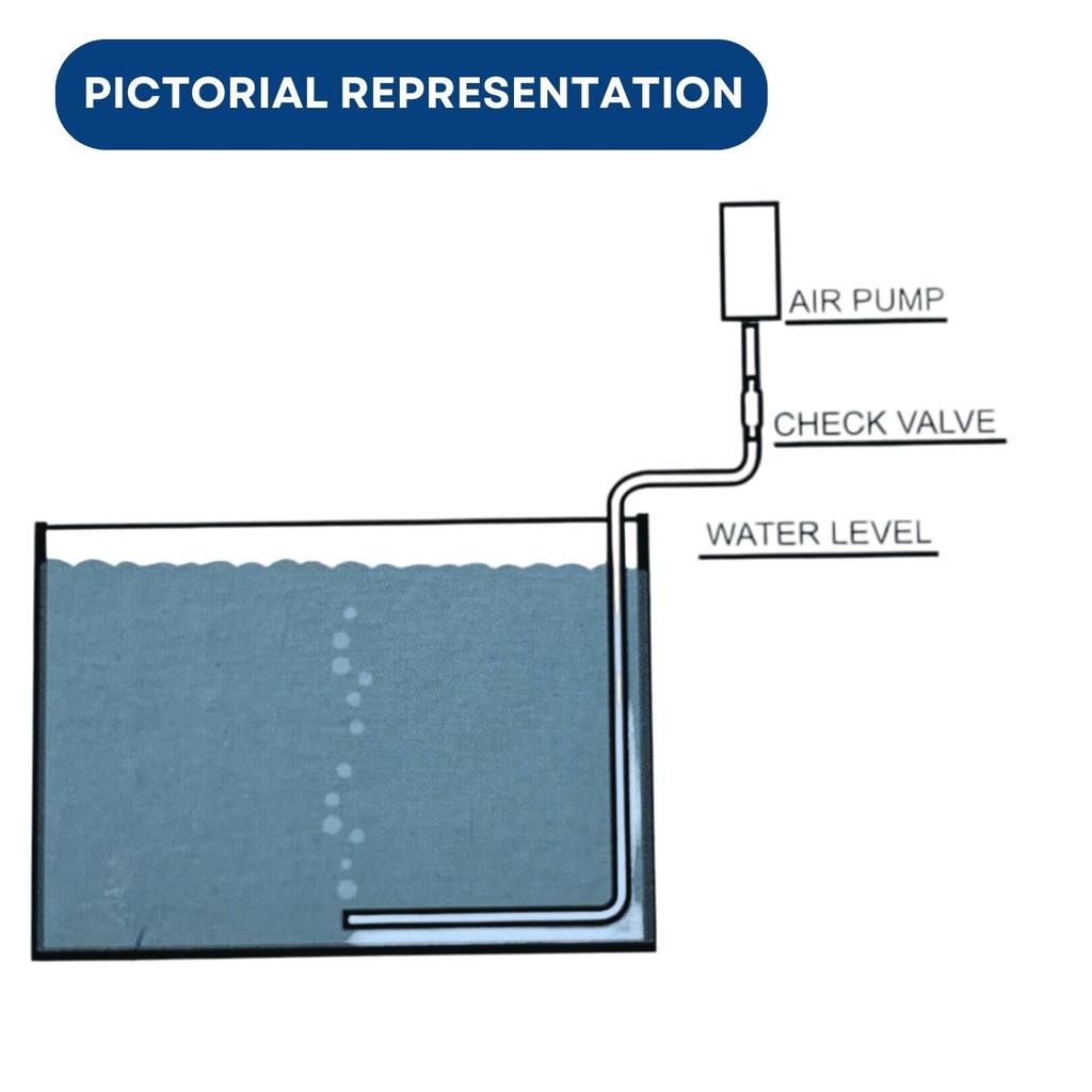 KW Zone Big Boy 4 - Outlet BB - 10200