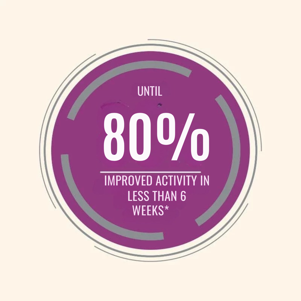 Pro nutrition Protect Senior+ Dog Food For Senior All Sizes 2kg  