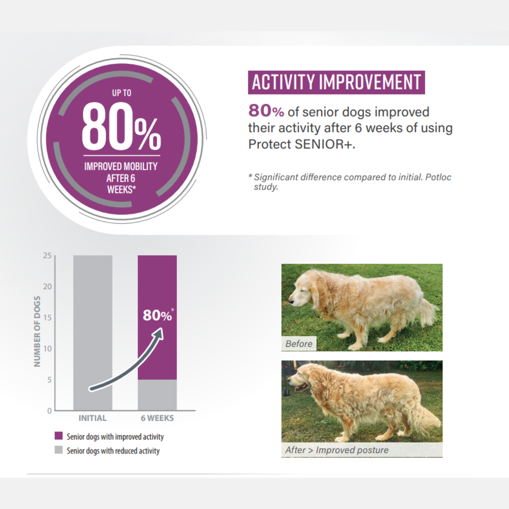 Pro nutrition Protect Senior+ Dog Food For Senior All Sizes 2kg  