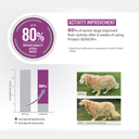 Pro nutrition Protect Senior+ Dog Food For Senior All Sizes 2kg  