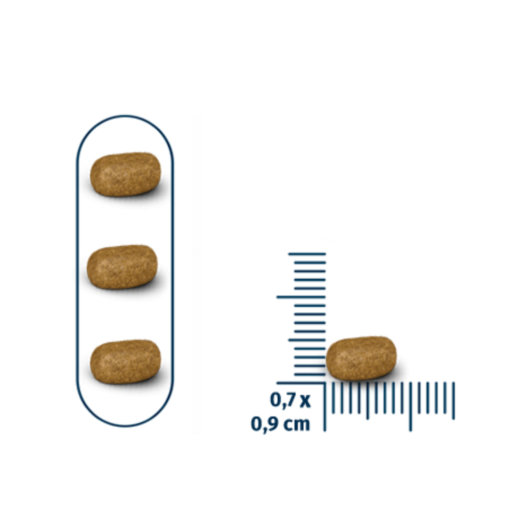 Seven Cats Cat Food For Sterilized  - Salmon [Coat Beauty] 1kg