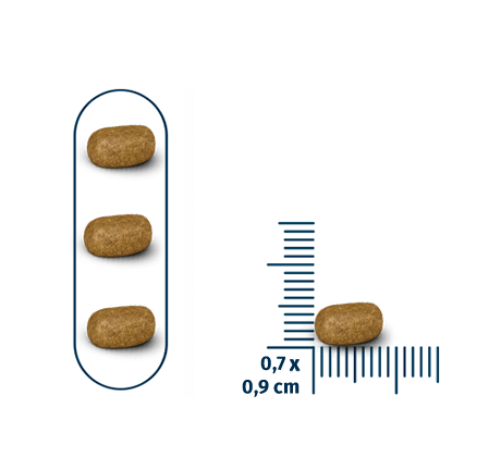 Seven Cats Cat Food For Sterilized  - Salmon [Coat Beauty] 1kg