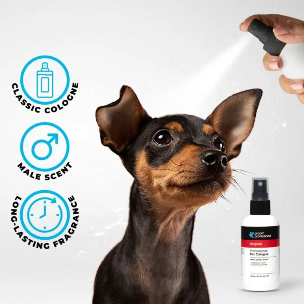 Groom Professional Original Cologne[Perfume][Volume - 200 ml] (new)