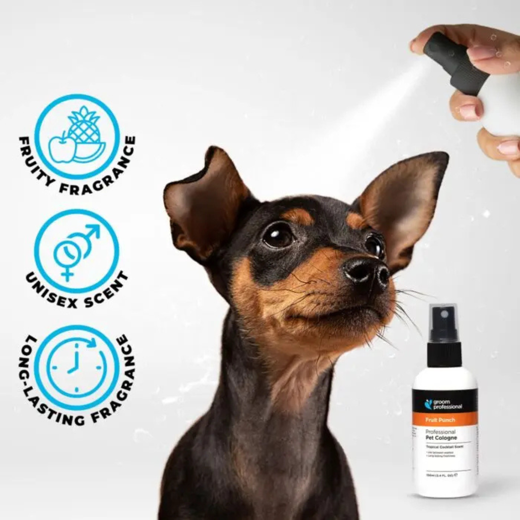 Groom Professional Fruit Punch Cologne (Perfume)[Flavor - Tropical Cocktail Scent, Volume - 100ml] (new)