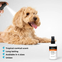 Groom Professional Fruit Punch Cologne (Perfume)[Flavor - Tropical Cocktail Scent, Volume - 200ml] (new)