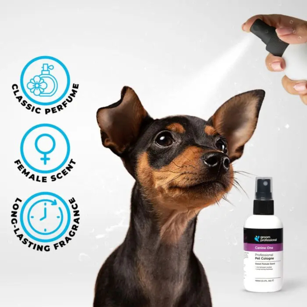 Groom Professional Canine One Cologne|Perfume[Volume - 200 ml, Flavor - Sweet Female ] (new)