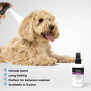 Groom Professional Canine One Cologne|Perfume[Volume - 200 ml, Flavor - Sweet Female ] (new)