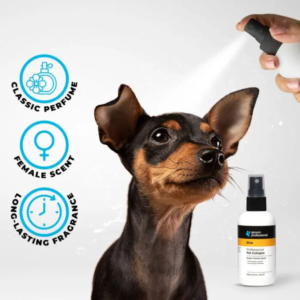 Groom Professional Diva Cologne (Perfume)[Volume - 100 ml, Flavor - Female Scent] (new) 