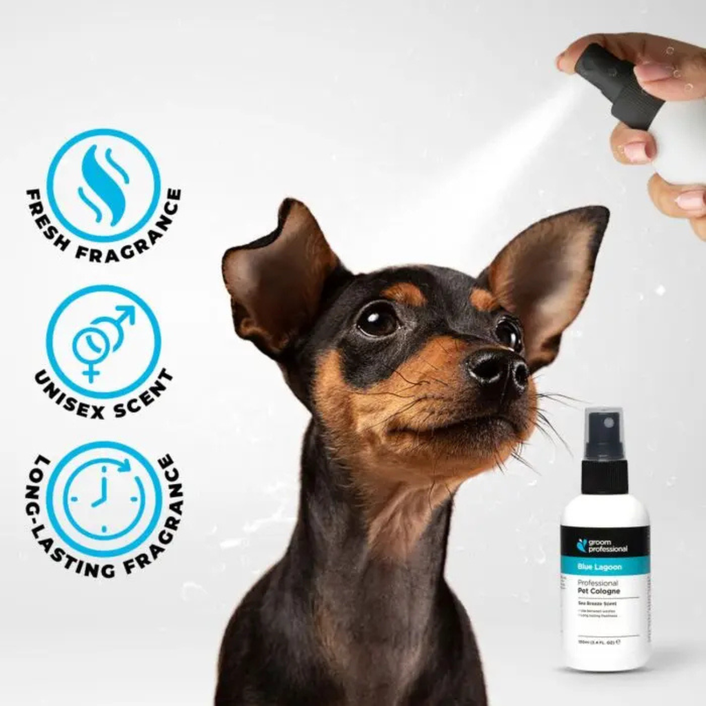 Groom Professional Blue Lagoon Cologne|Perfume[Volume - 200 ml] (new) 