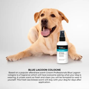 Groom Professional Blue Lagoon Cologne|Perfume[Volume - 200 ml] (new) 