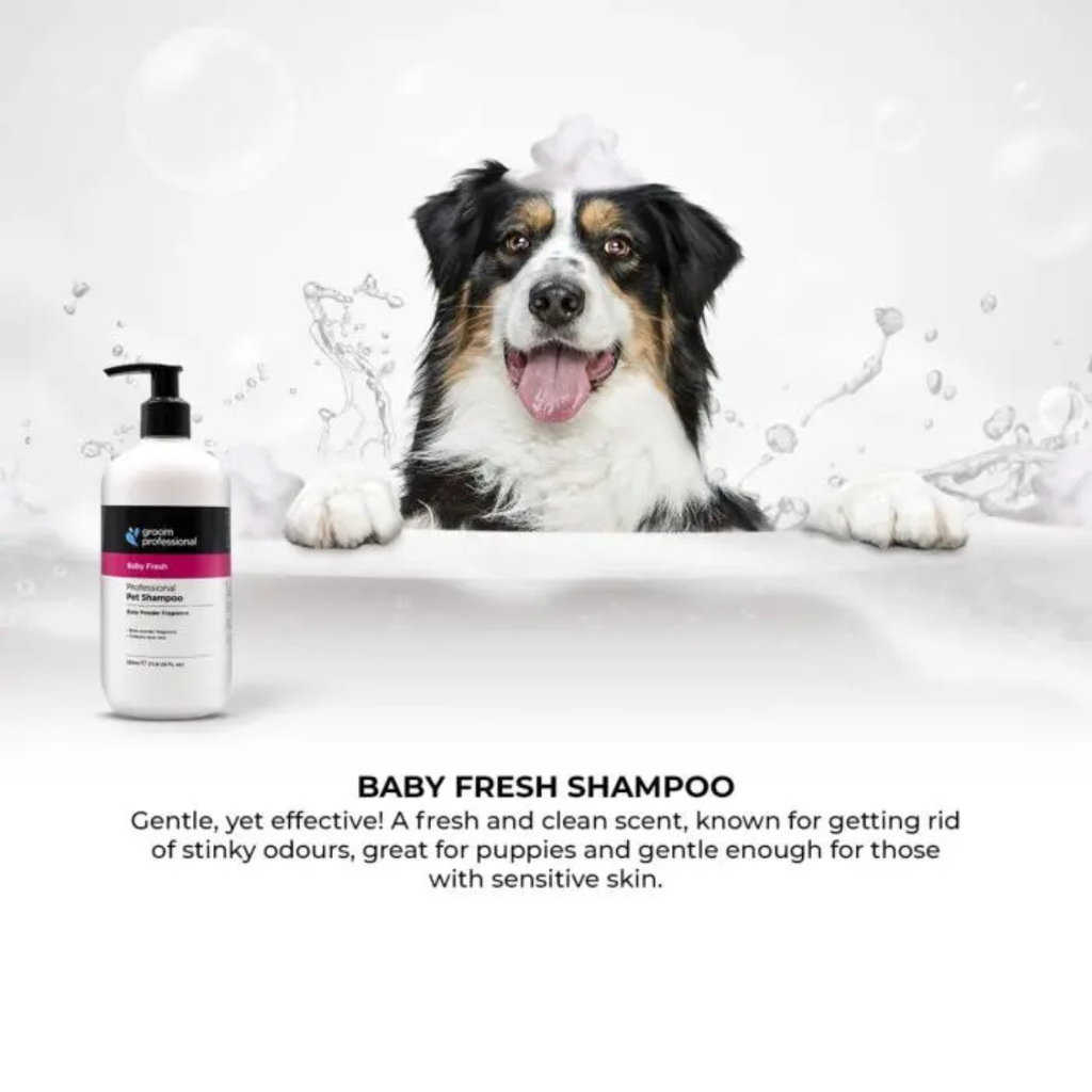 Groom Professional Baby Fresh Shampoo[Volume - 350 ml] (new) 