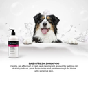 Groom Professional Baby Fresh Shampoo[Volume - 4 Litre] (new)  