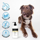 Groom Professional Argan Oil Shampoo[Volume - 4 Litre](new)  