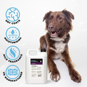 Groom Professional Coat Repair Conditioner[Volume - 4 litre](new)