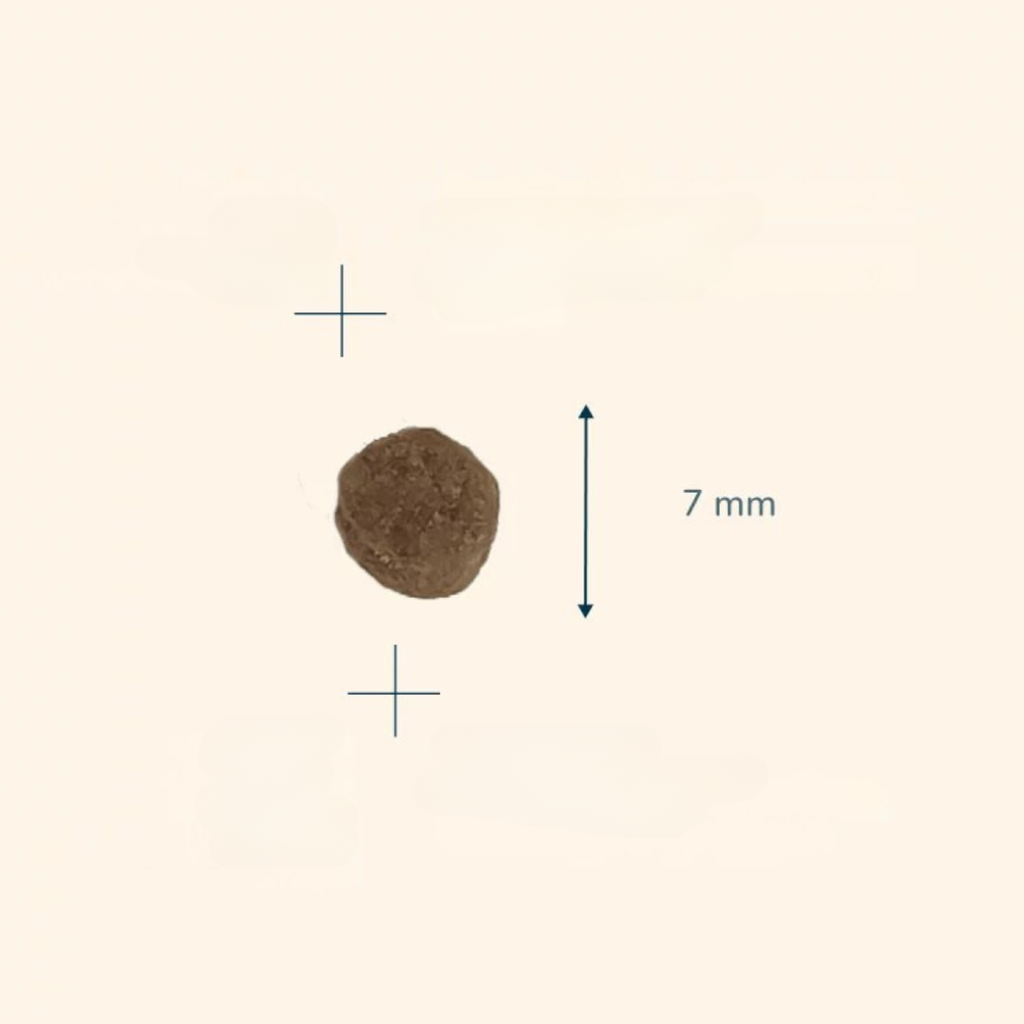 Pro nutrition Prestige Kitten With Fish 2Kg