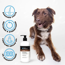 Groom Professional Argan Oil Conditioner[Volume - 4 litre](new)