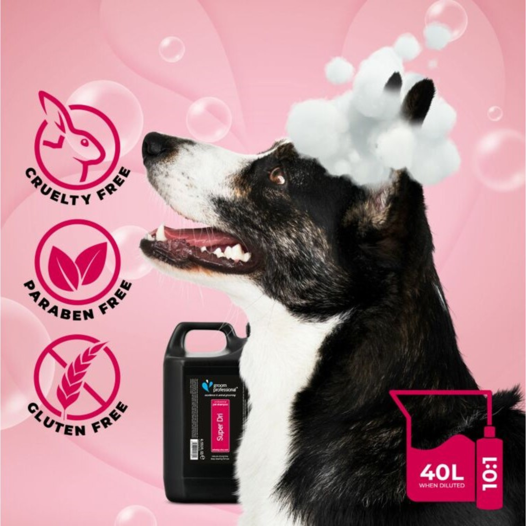 Groom Professional Super Dri Shampoo[Volume - 4 Litre](new)   