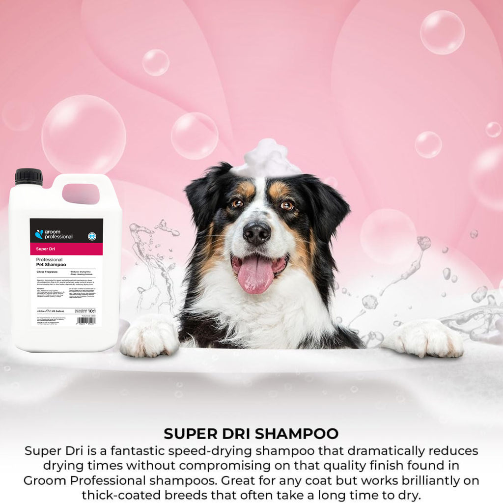 Groom Professional Super Dri Shampoo[Volume - 4 Litre](new)   