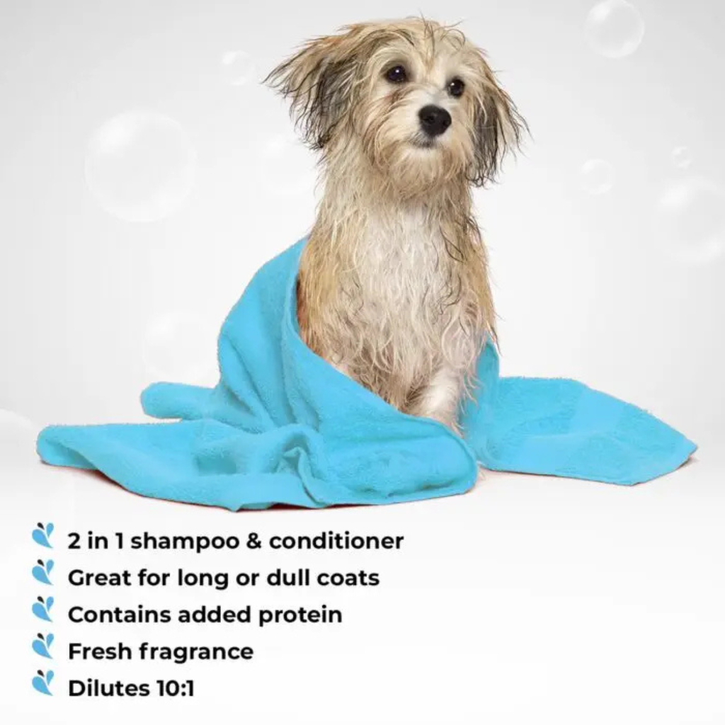 Groom Professional 2 In 1 Protein Shampoo[Volume - 4 litre] (new)