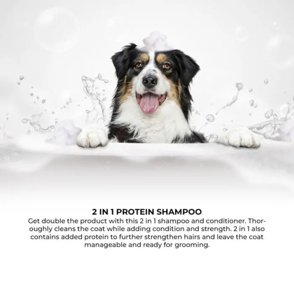 Groom Professional 2 In 1 Protein Shampoo[Volume - 4 litre] (new)