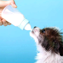 Bungener Feeding Bottle Set 60ml-New