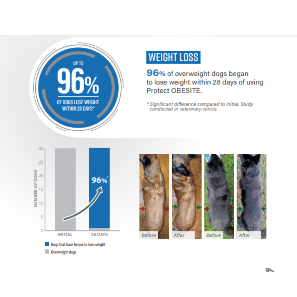 Pro nutrition Protect Obesite[overweight or obesity]-Dog Food For Adult All Sizes 2kg 