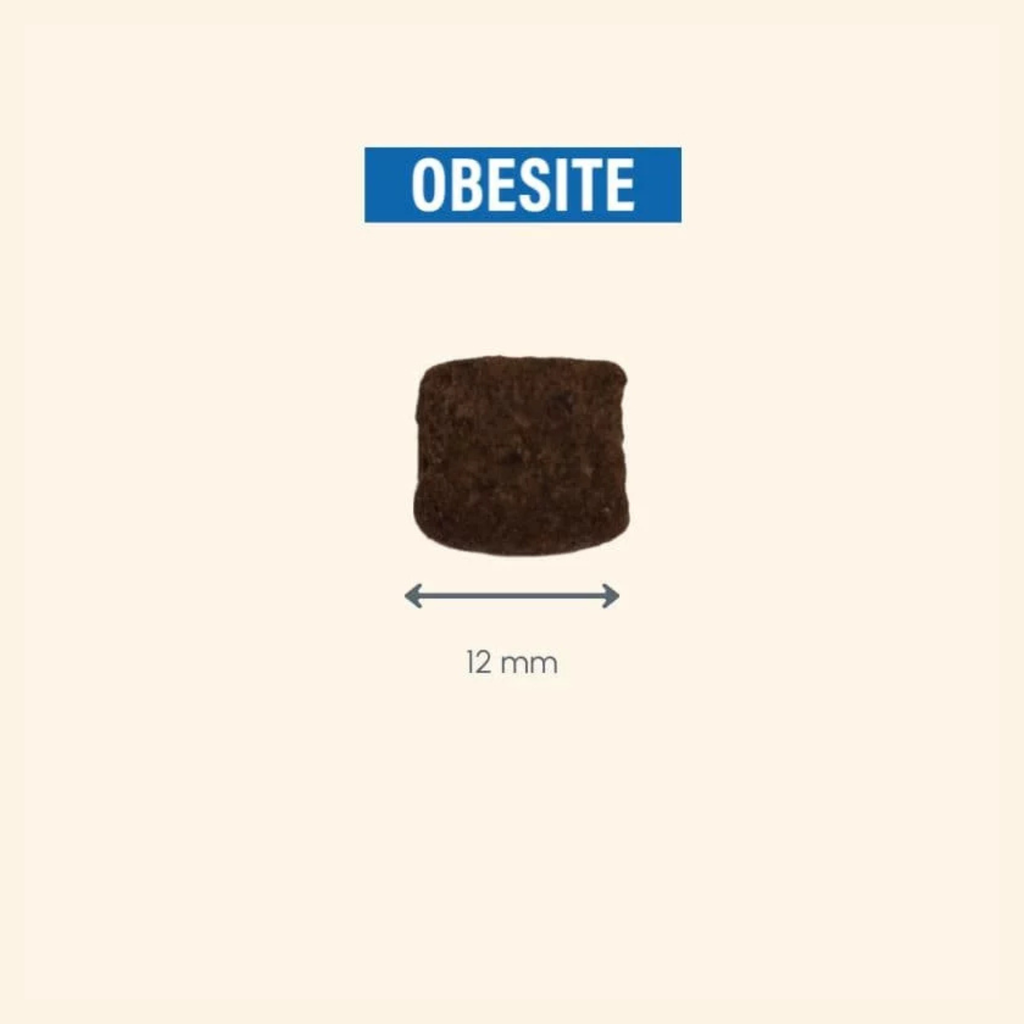 Pro nutrition Protect Obesite[overweight or obesity]-Dog Food For Adult All Sizes 2kg 