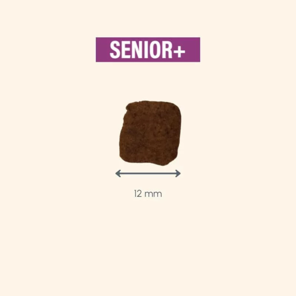 Pro nutrition Protect Senior+ Dog Food For Senior All Sizes 2kg  