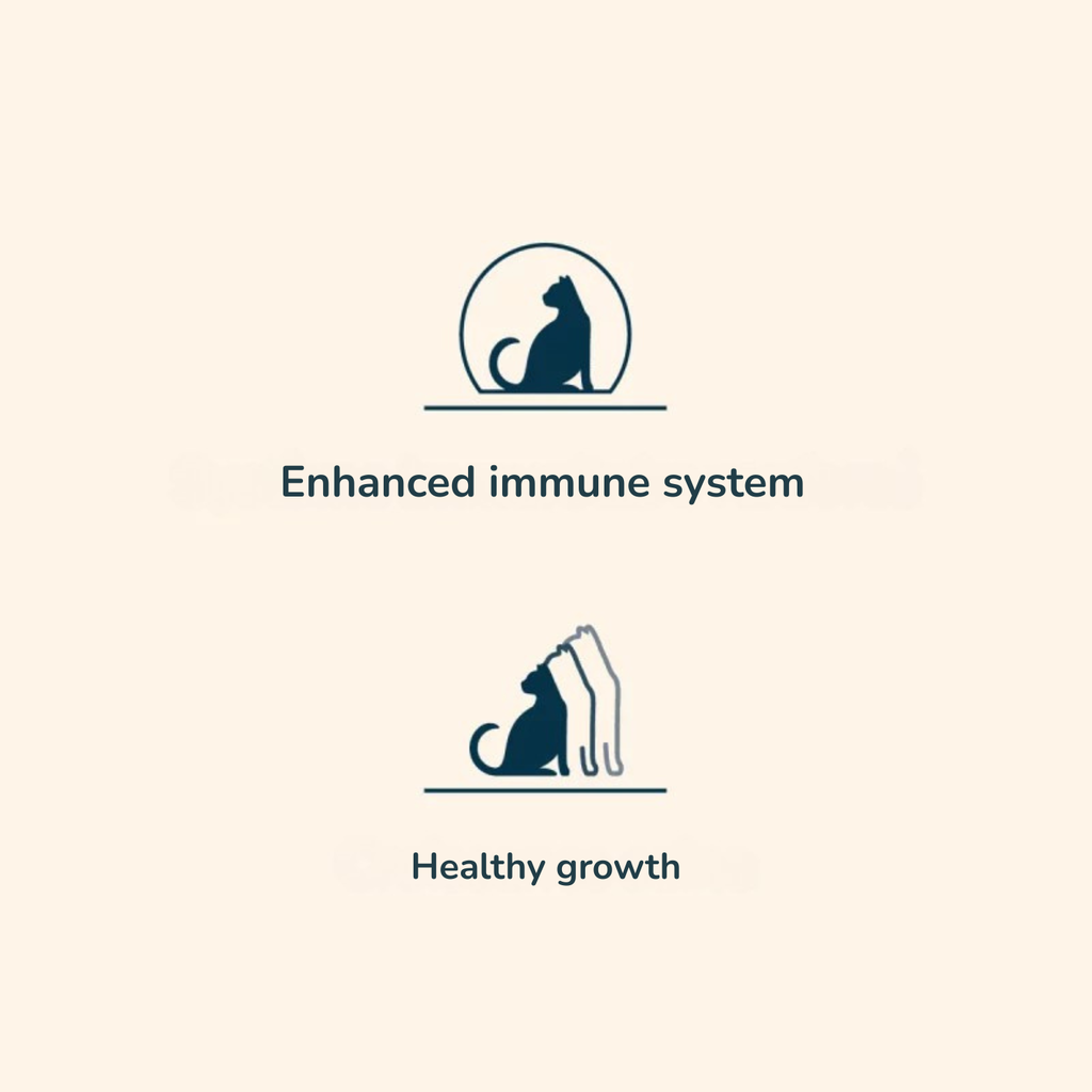 Pro nutrition Prestige Kitten With Fish 8Kg