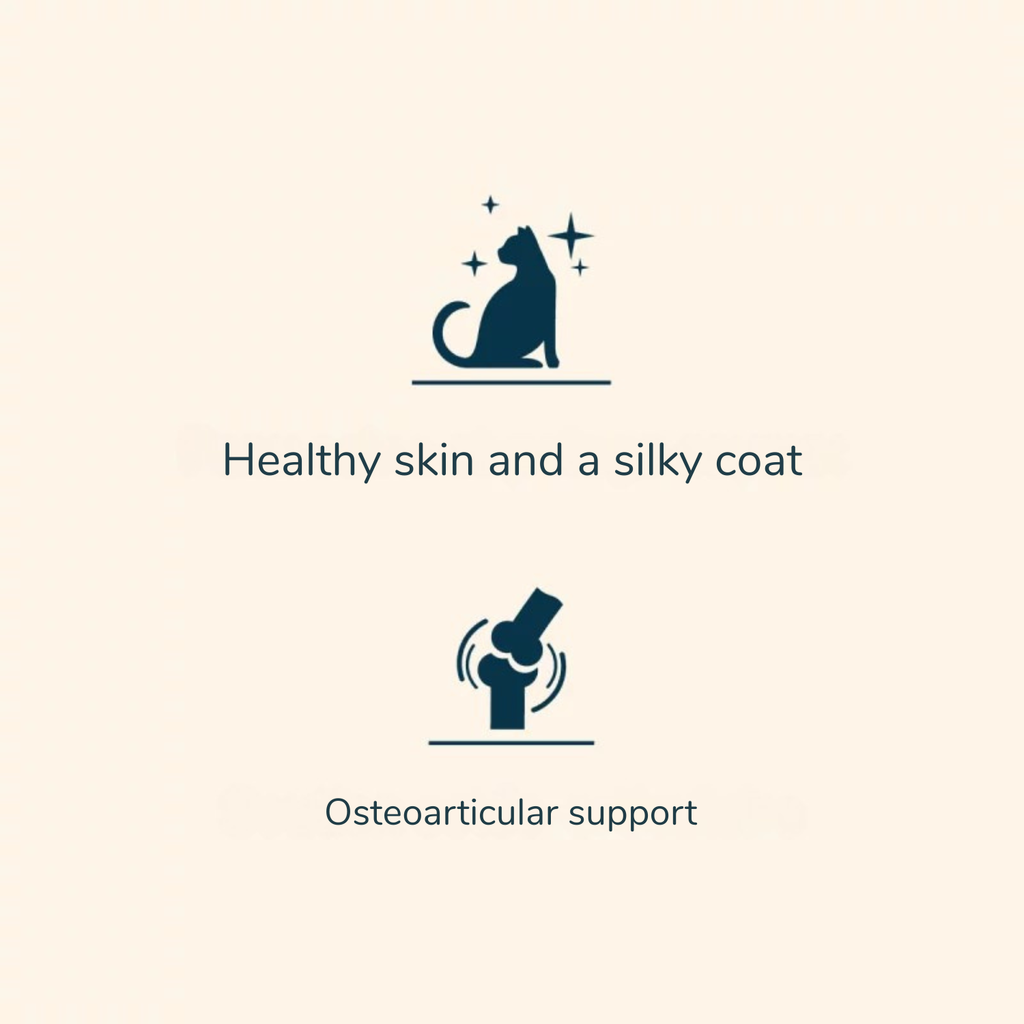 Pro nutrition Prestige Cat Adult Large Breed With Chicken 2Kg