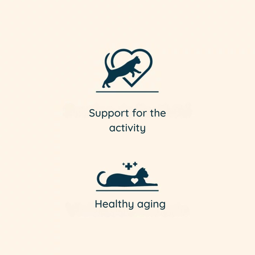 Pro nutrition Prestige Cat Adult 8+ Sterilised Chicken 10Kg