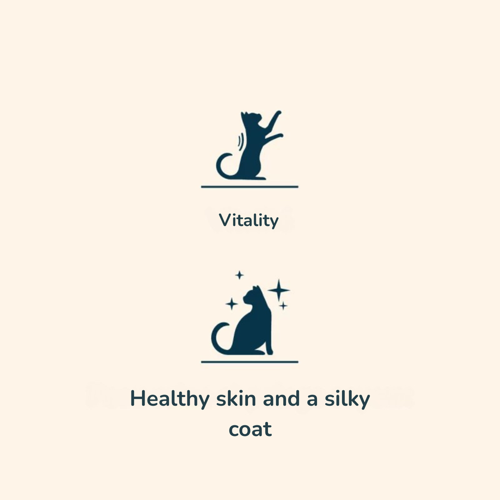 Pro nutrition Prestige Cat Adult Multi 2Kg