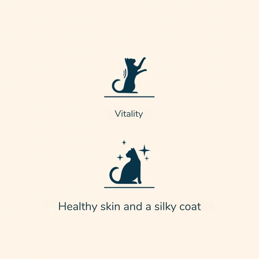 Pro nutrition Prestige Cat Adult Turkey 10Kg