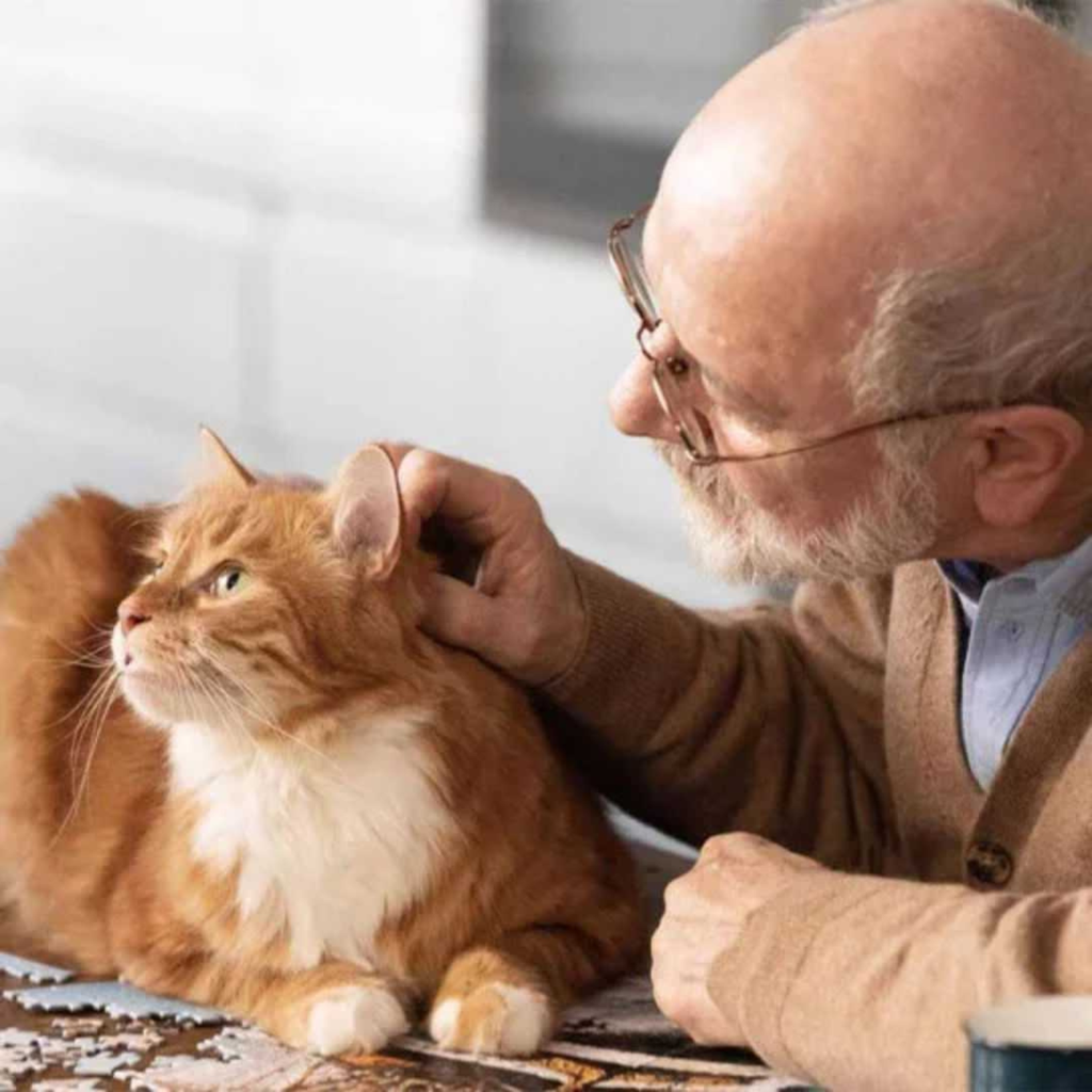 Pro nutrition Prestige Cat Adult Turkey 2Kg