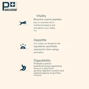 Pro nutrition Prestige Dog Adult Medium 15Kg