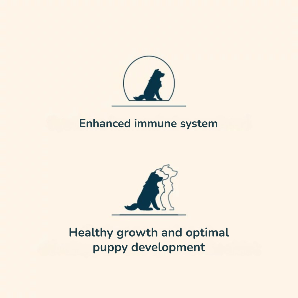 Pro nutrition Prestige Puppy Mini 3Kg