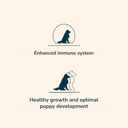 Pro nutrition Prestige Puppy Mini 3Kg