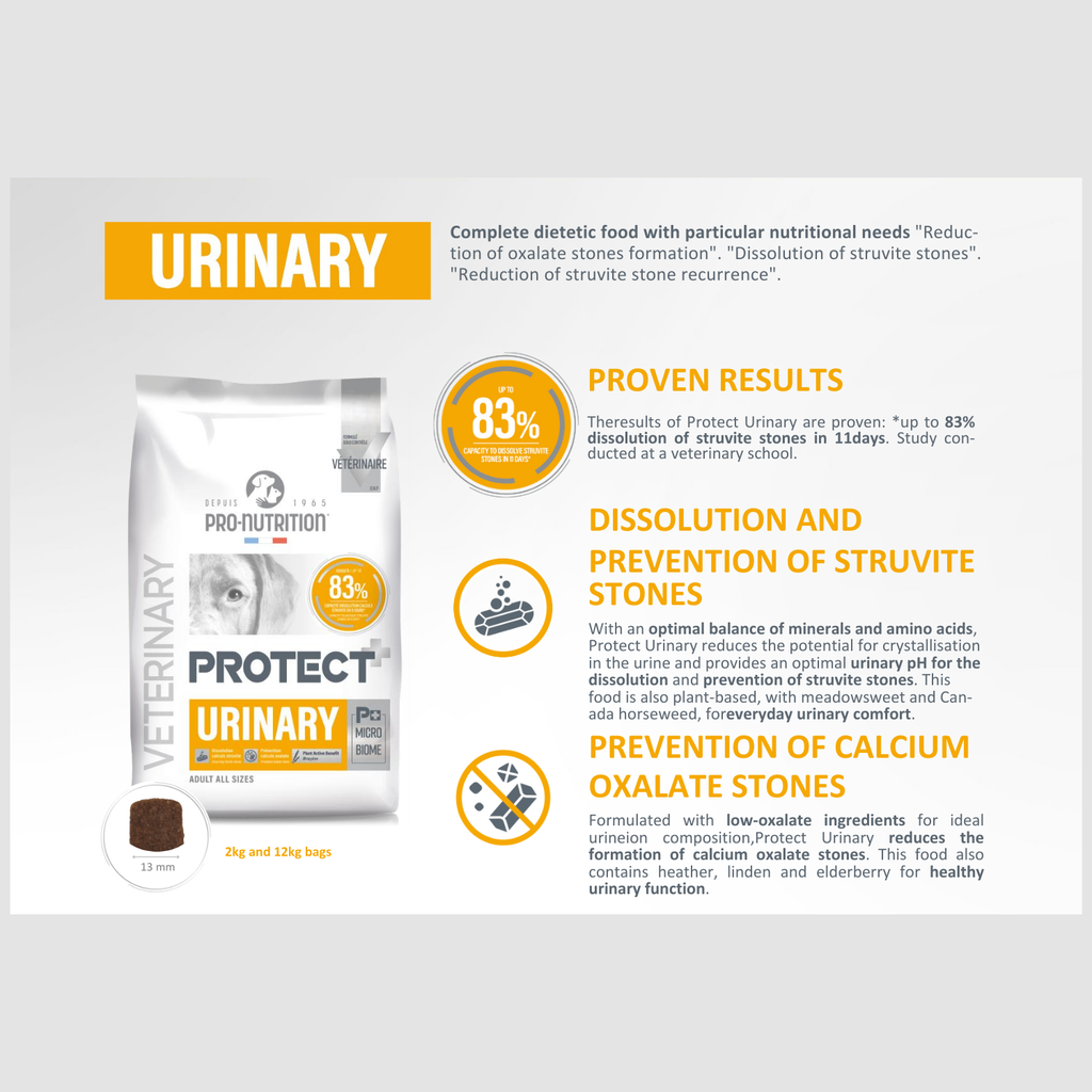 Pro nutrition Protect Urinary-Dog Food For Adult All Sizes 2kg  