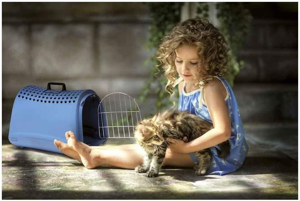 IMAC Linus Carrier for Cats and Dogs - Second Life Plastic - 50 x 32 x 34.5cm[Color - Mixed Colours]