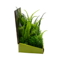 Yusee Aquarium Decorations - Artificial Plant YM-0201 [Height:15cm]