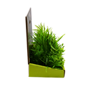 Yusee Aquarium Decorations - Artificial Plant YM-0209 [Height:15cm]